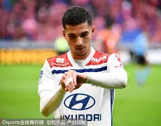 里昂将挑战蒙彼利埃，争夺领先优势的简单介绍